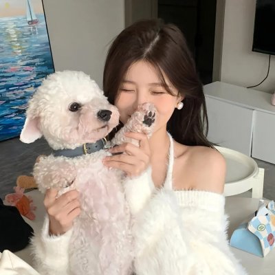 飞鸽传爱